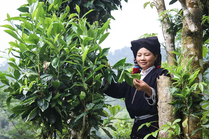 Da Bac Discovery trek and tour 2D1N - Day 1: Hanoi to Sung Village, cave hike, brocade visit, and Dao words at night