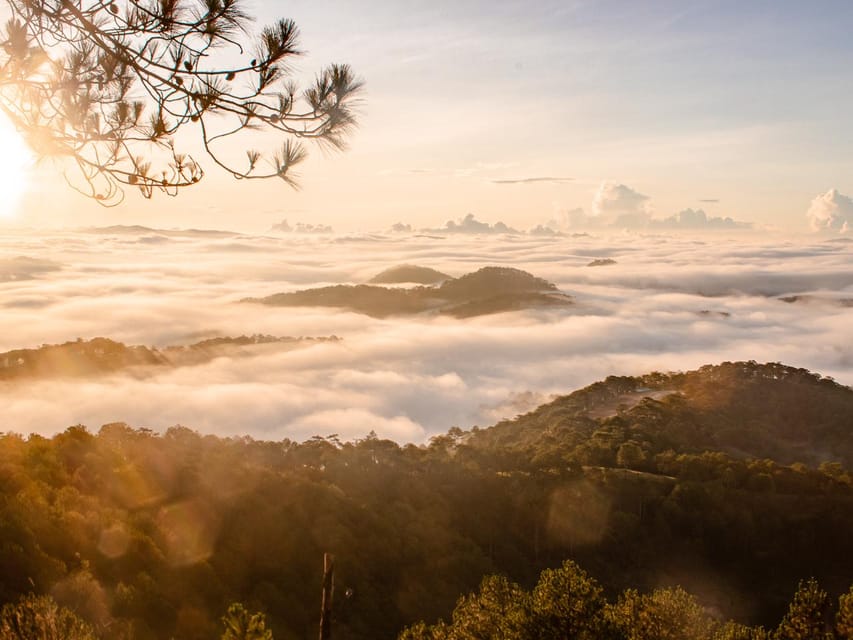 Da Lat: Chasing the Sunrise - A Mini Trek Adventure - Why Đà Lạt Sunrise Turns a Morning Hike Into a Real Adventure