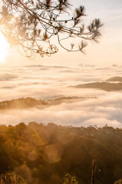 Da Lat: Chasing the Sunrise - A Mini Trek Adventure - Meeting at the Cathedral: Getting Started Without the Hotel Chaos