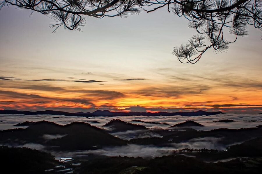 Da Lat: Chasing the Sunrise - A Mini Trek Adventure - Local Breakfast After the Sunrise: Bánh Căn and the Real Morning Fuel