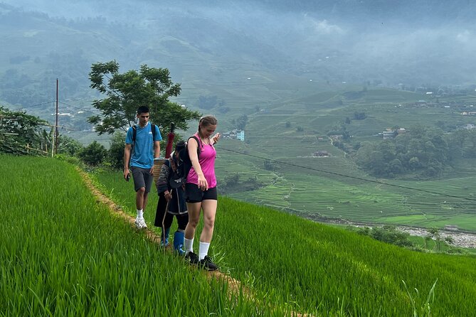 Daily Tour: Sapa Trekking in Muong Hoa valley, Bamboo forest - Ta Van Village lunch: where the day slows down
