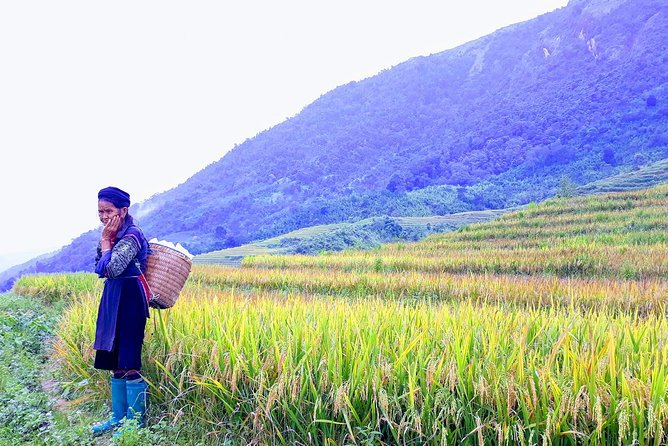 Daily Tour: Sapa Trekking in Muong Hoa valley, Bamboo forest - Lao Chai on the route: village context, not a long bus stop