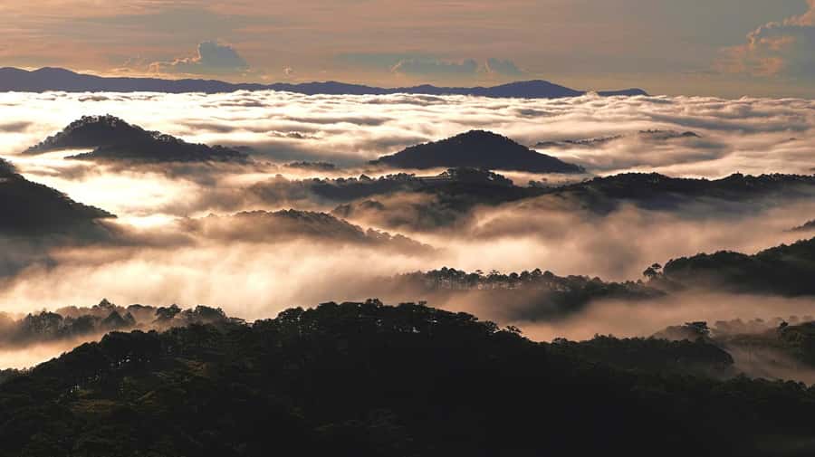 Dalat: Sunrise Trekking and Cloud Hunting experience - Small Tips That Make the Experience Feel Effortless