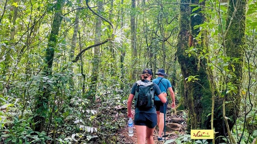 DaLat: Trek on Langbiang Mountain - Should you book this tour or choose another option?