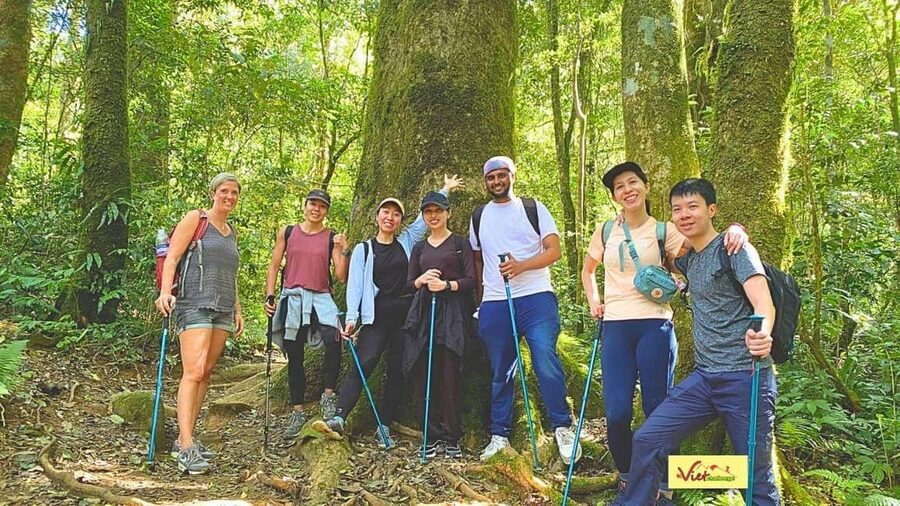 DaLat: Trek on Langbiang Mountain - 9km downhill: where your legs will notice the plan