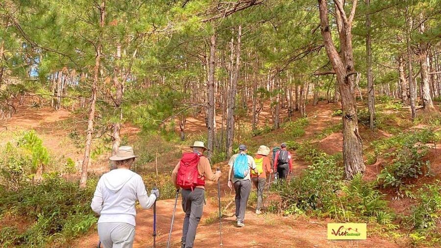 DaLat: Trek on Langbiang Mountain - Who should book this Langbiang trek (and who should skip it)