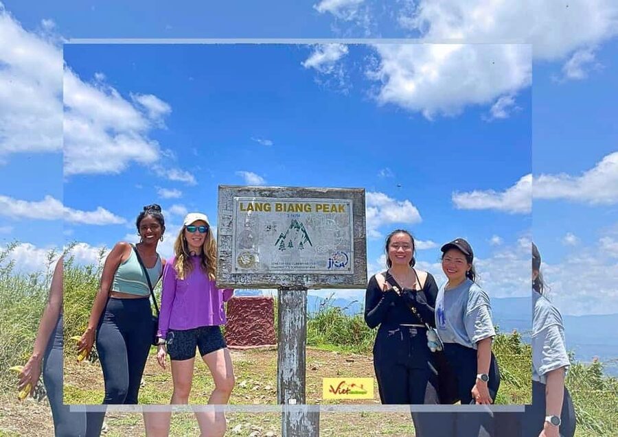 DaLat: Trek on Langbiang Mountain - The trail to the summit: pine forest to broad-leaf jungle