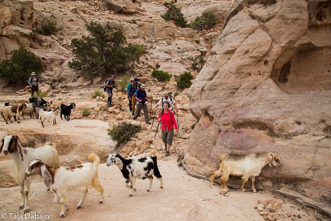 Dana to Petra Trek + Wadi Rum & the Dead Sea - 9 Days - Key things I’d circle on your planning map