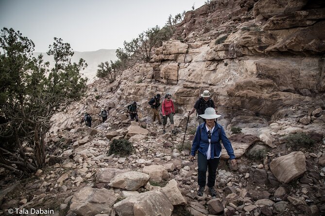 Dana to Petra Trek + Wadi Rum & the Dead Sea - 9 Days - Little Petra and the Nabataean trailwork you’ll actually notice