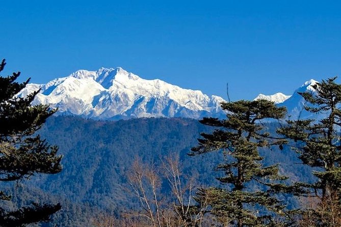 Darjeeling Tonglu Day Trek - What you get with a real mountain guide