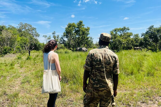 Day Tour Of Ziwa Rhino Sanctuary and Wildlife Ranch - ZIWA RHINO TREKKING - Why Ziwa’s rhino trek beats the usual safari hunt