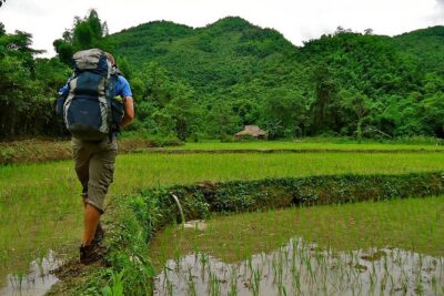 Day Trek to Kuangsi Waterfall and Bear Sanctuary - Luang Prabang full day tour - Getting started: Luang Prabang pickup and the drive rhythm