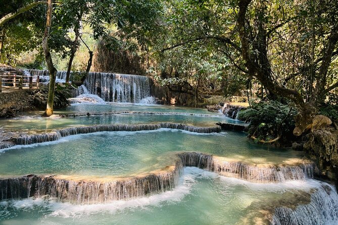 Day Trek to Kuangsi Waterfall and Bear Sanctuary - Luang Prabang full day tour - Bear Rescue Center: conservation without the lecture tone