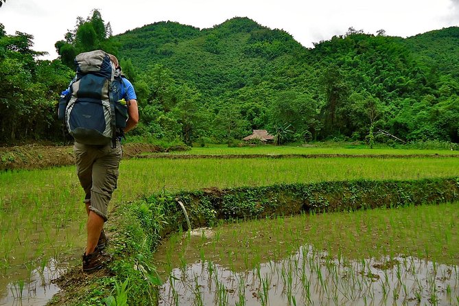 Day Trek to Kuangsi Waterfall and Bear Sanctuary - Luang Prabang full day tour - Getting started: Luang Prabang pickup and the drive rhythm