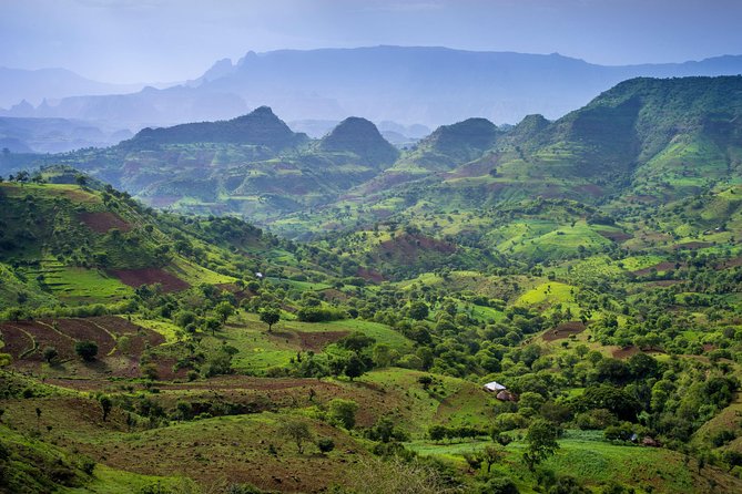 Day trek to Simien Mountain - Trek route to Chilkuwanit: what the 3–4 hours is really about