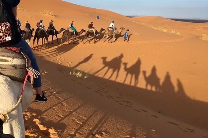 Desert excursion with camel trek into the camp Dinner breakfast - Key Things I’d Plan Around Before You Go