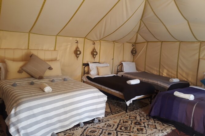 Desert excursion with camel trek into the camp Dinner breakfast - Practical Notes That Will Save You Hassle