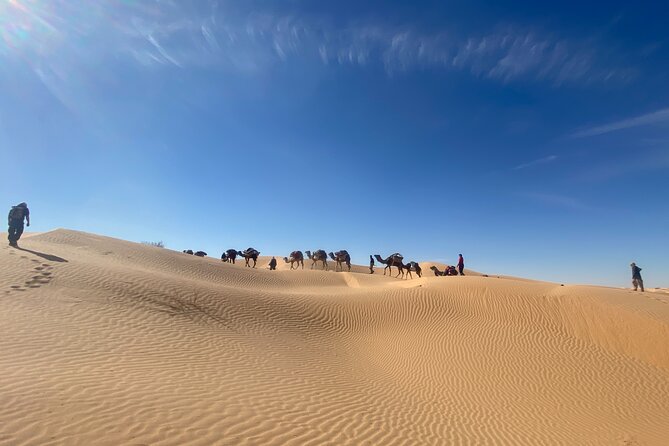 Desert tours and adventurous camel trekking through the Sahara - Days 2–6 (the dune days): trekking with dromedaries and fresh camp stops