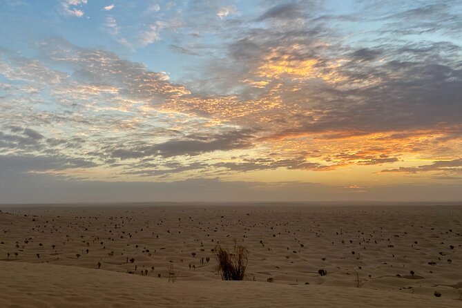 Desert tours and adventurous camel trekking through the Sahara - Ferry time and Djerba’s coast: leaving the mainland and arriving at the sea