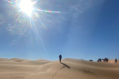 Desert tours and adventurous camel trekking through the Sahara - Your pickup back to reality: 4x4 to Douz and souks with dates