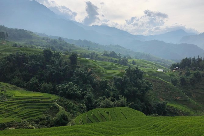 Discover the Beauty of Sa Pa: A One-Day Trek - Why this one-day Sa Pa trek works (even if you’re short on time)