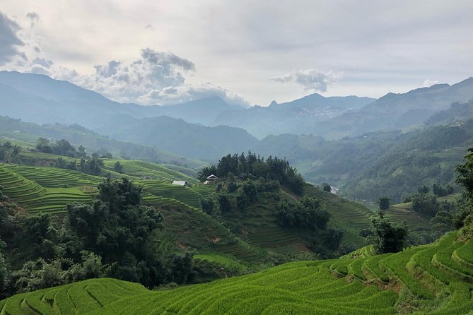 Discover the Beauty of Sa Pa: A One-Day Trek - Stop 2: Lao Chai village walk-through with easy “first sight” vibes