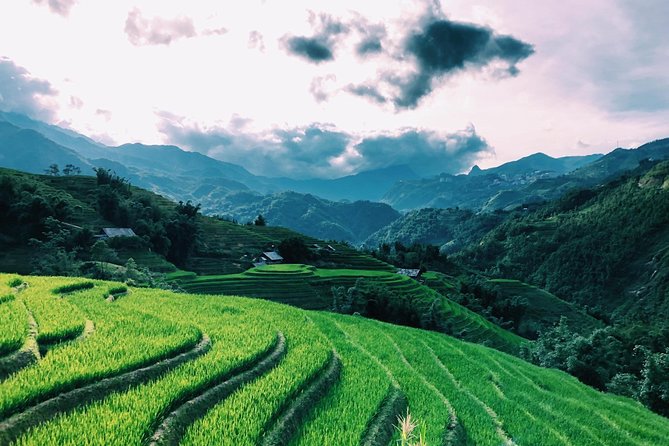 Discover the Beauty of Sa Pa: A One-Day Trek - Stop 3: Ta Van village for a shorter, warmer final village stop