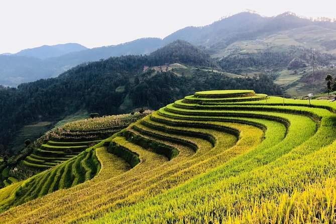 Discover the Beauty of Sa Pa: A One-Day Trek - Lunch and pacing: included food that keeps the day from falling apart