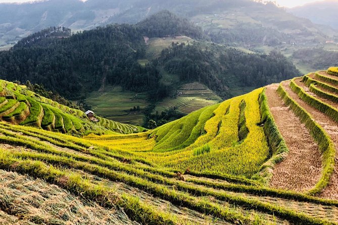 Discover the Beauty of Sa Pa: A One-Day Trek - Weather reality in Sa Pa: beautiful, but treat it like a variable