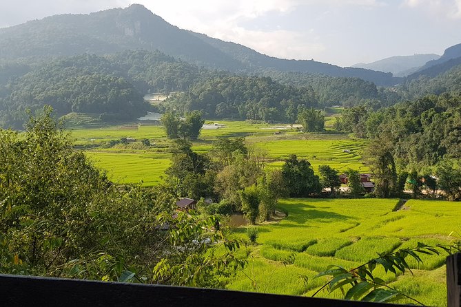 Doi inthanon National Park + 2Hour Fantastic Trekking with Lunch - Waterfalls and seasonal hiking choices: Pha Dok Siew vs. Kiew Mae Pan