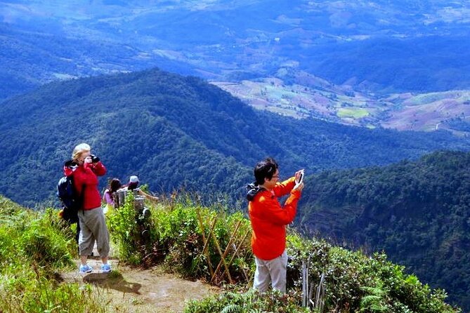 Doi Inthanon National Park with Nature Trail Trekking 1-Day Tour - Price and Logistics: Why This Day Trip Feels Like a Deal