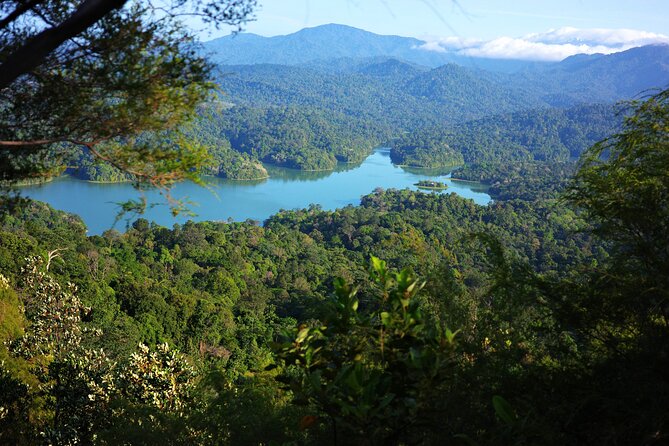 Dragonback Trek - Ridge Views That Actually Matter: Jungle One Side, KL the Other