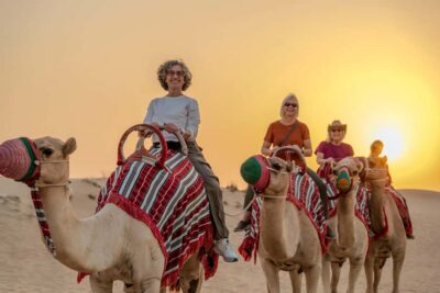 Dubai: Evening Camel Trekking & Dinner at Al Marmoom Oasis - From hotel pickup to the reserve: how the transfer sets the tone