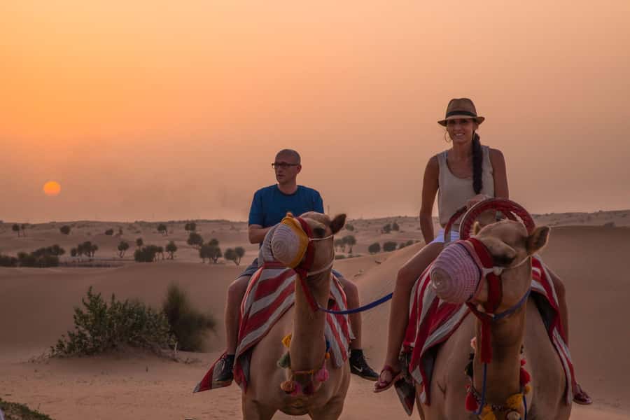 Dubai: Evening Camel Trekking & Dinner at Al Marmoom Oasis - Dinner plus entertainment: falcon photos and the night’s rhythm