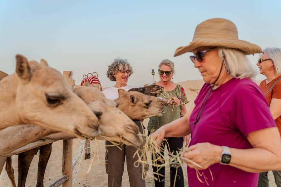 Dubai: Evening Camel Trekking & Dinner at Al Marmoom Oasis - Price and value: is $120 per person fair?