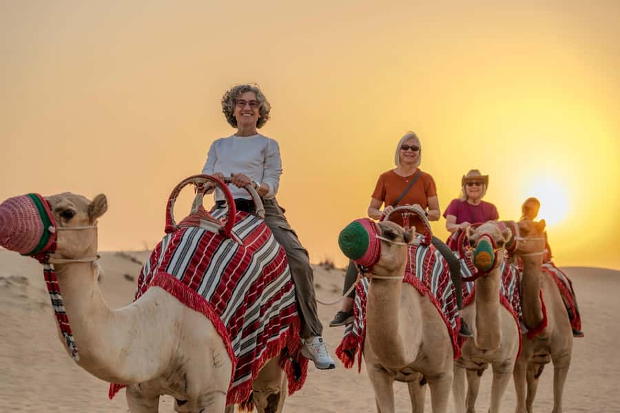 Dubai: Evening Camel Trekking & Dinner at Al Marmoom Oasis - From hotel pickup to the reserve: how the transfer sets the tone