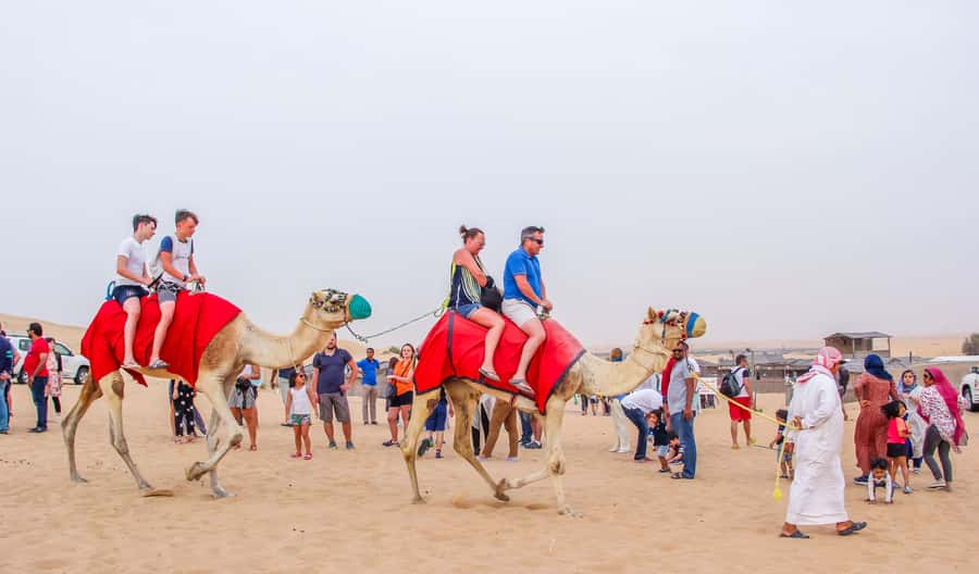Dubai Sunrise Desert Camel Trek with Breakfast - First, the vibe: early light, slow animals, quiet dunes