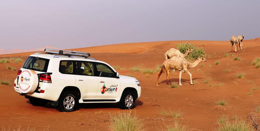 Dubai Sunrise Desert Camel Trek with Breakfast - Photo stop in the city: a quick warm-up before the dunes