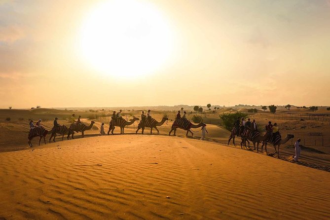 Dubai: Sunset Camel Trek, Al Khayma Camp, Stargazing & BBQ - From Your Dubai Hotel to the Dunes: The Smooth Start