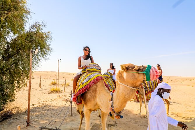Dubai: Sunset Camel Trek, Al Khayma Camp, Stargazing & BBQ - Camel Trek at Sunset: The 40-Minute Dune Ride That Makes the Trip
