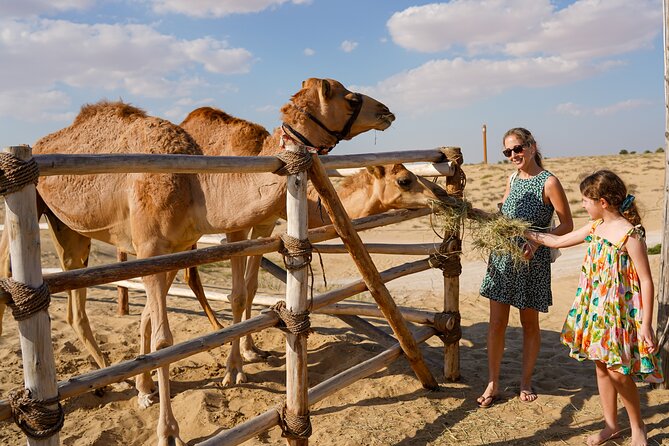 Dubai: Sunset Camel Trek, Al Khayma Camp, Stargazing & BBQ - Should You Book This Dubai Sunset Camel Trek?