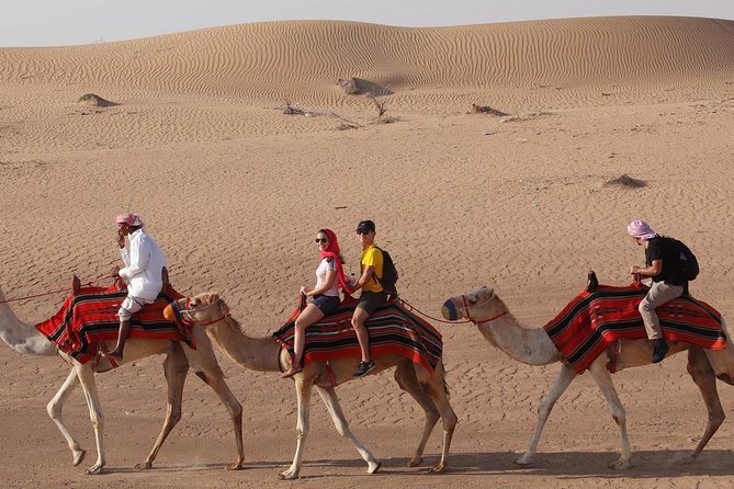 Dubai Sunset Camel Trekking With BBQ Dinner at VIP Camp - Who This Tour Suits Best (and Who Should Consider Something Else)