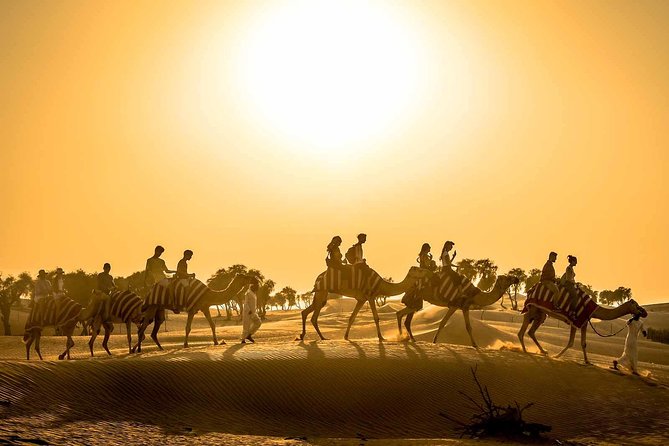Dubai Sunset Camel Trekking with Shows & BBQ Dinner - Key things I’d circle before you book