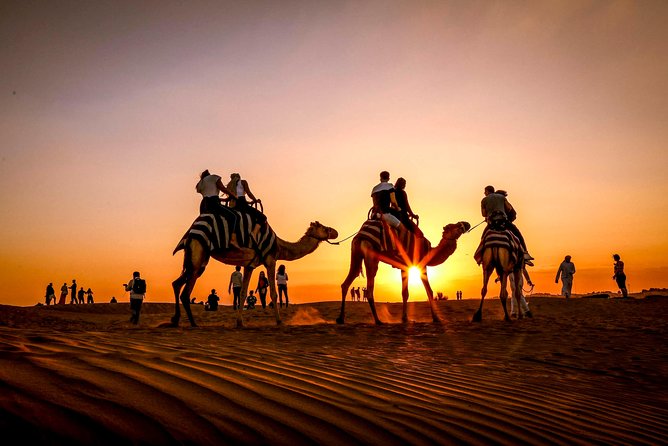 Dubai Sunset Camel Trekking with Shows & BBQ Dinner - Inside Al Khayma Camp: Kahwa, Dates, Henna, Shisha, and Star Time