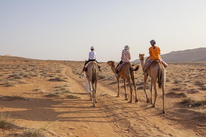Dubai Sunset Camel Trekking with Shows & BBQ Dinner - The BBQ Dinner: Unlimited Soft Drinks and Real Vegetarian Options