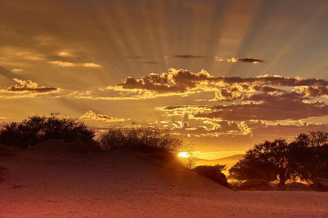 Early Morning Desert Safari With Camel Trekking Experience - Key things to know before you go