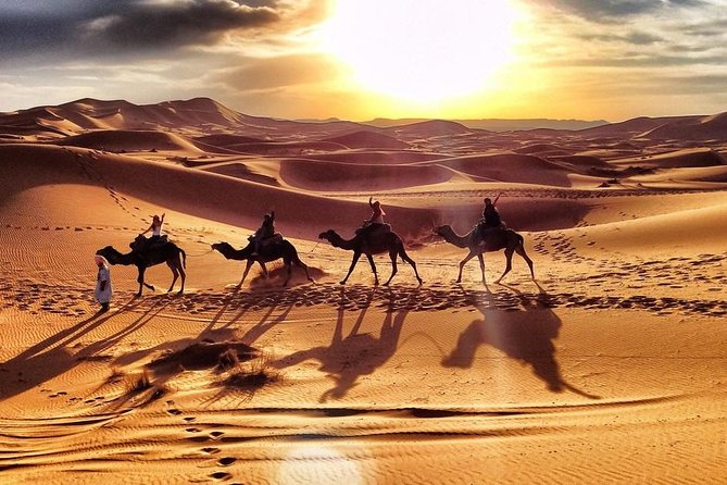 Early Morning Desert Safari With Camel Trekking Experience - Food, water, and weather: the practical stuff that changes your comfort