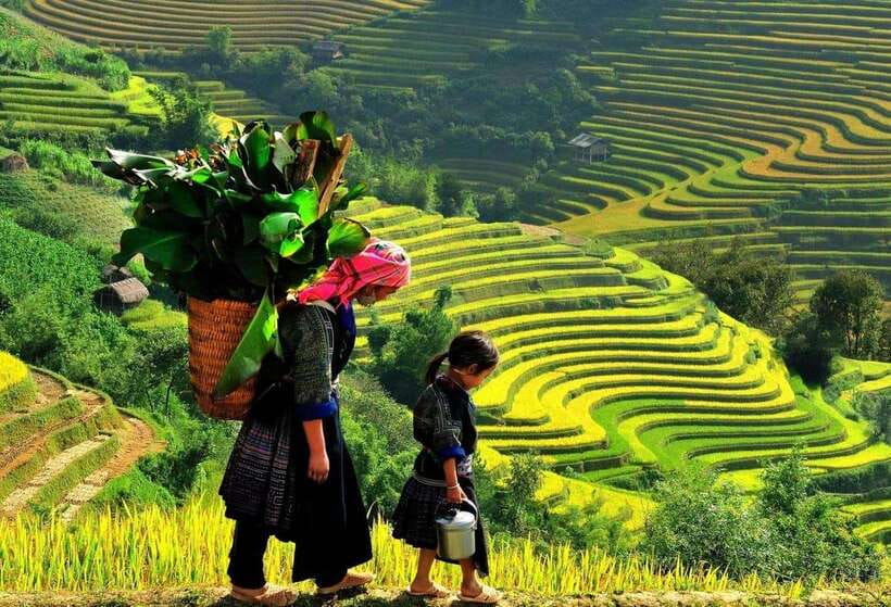 Easy Trek in Sapa mountain : Y Linh Ho - Lao Chai - Ta Van - Rice Terraces and River Views: What the 7-Hour Trek Really Feels Like