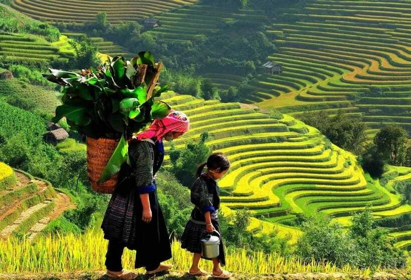 Easy Trek in Sapa mountain : Y Linh Ho - Lao Chai - Ta Van - Pace, Difficulty, and What to Pack (So You Don’t Regret It)