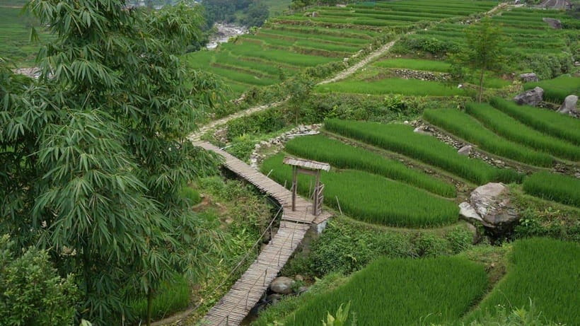 Easy Trek in Sapa mountain : Y Linh Ho - Lao Chai - Ta Van - Cat Cát Road to the Muong Hoa Hanging Bridge: Bamboo, Steps, and Photo Stops